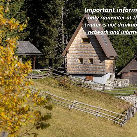 Veselka - In The Woods * Zgornje Gorje